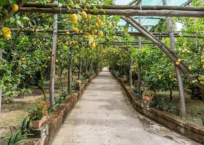 Villa Romantic Garden *