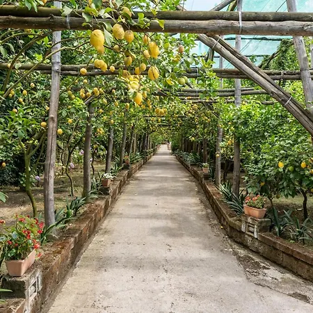 Villa Romantic Garden *