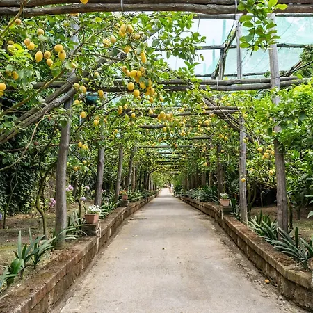 Villa Romantic Garden *