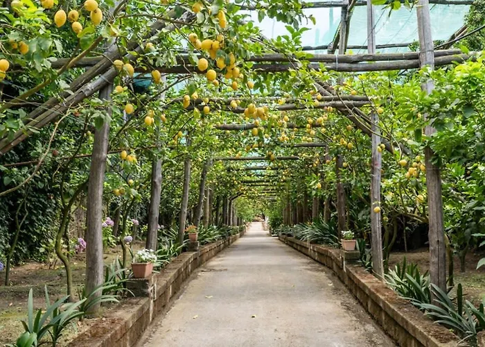 别墅 Romantic Garden *