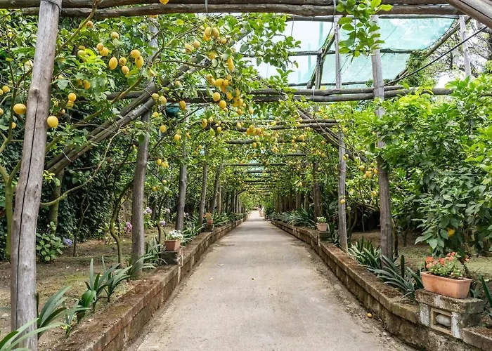 Romantic Garden 빌라 *