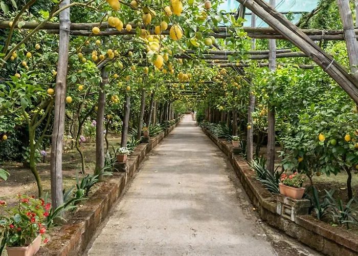 빌라 Romantic Garden *